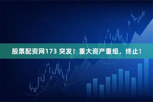 股票配资网173 突发！重大资产重组，终止！