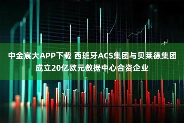 中金宸大APP下载 西班牙ACS集团与贝莱德集团成立20亿欧元数据中心合资企业