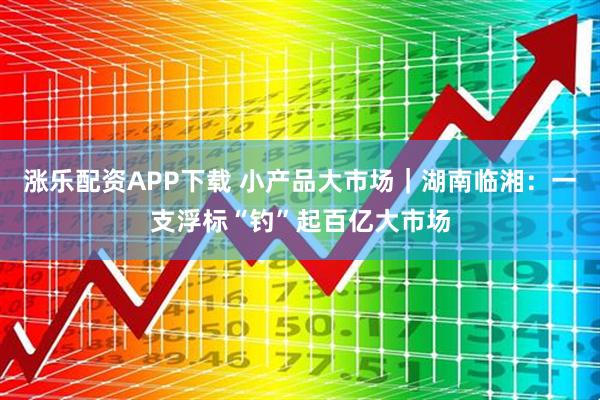 涨乐配资APP下载 小产品大市场｜湖南临湘：一支浮标“钓”起百亿大市场