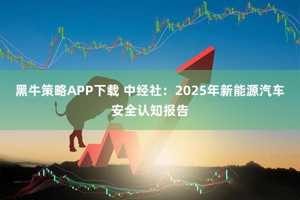 黑牛策略APP下载 中经社：2025年新能源汽车安全认知报告